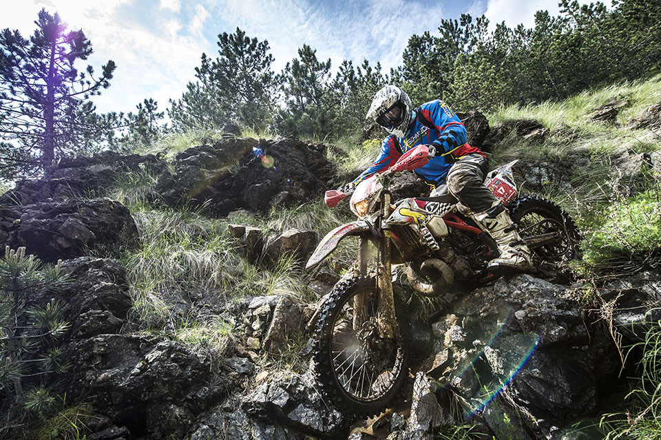 Xross 2017 Gallery